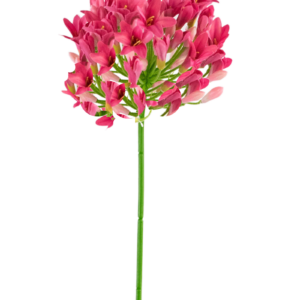 Kunstbloem Agapanthus 75 cm roze