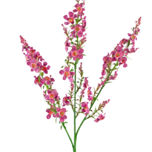 Kunstbloem Catnip 75 cm lichtroze