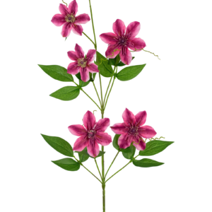 Kunstbloem Clematis dubbel 78 cm paars