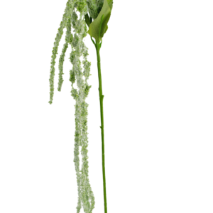 Kunstbloem Amaranthus 122 cm groen