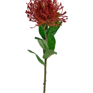 Kunstbloem Protea 73 cm rood