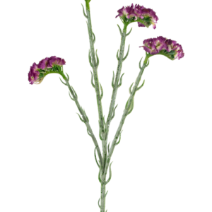 Kunsttak Statice 64 cm donkerpaars