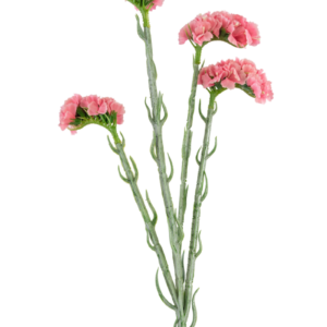 Kunsttak Statice 64 cm roze