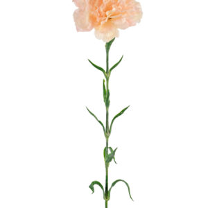 Kunstbloem Anjer 69 cm perzik