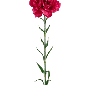 Kunstbloem Anjer 69 cm hardroze