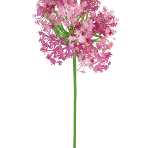 Kunstbloem Allium 60 cm paars