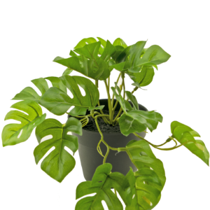Kunstplant Monstera 25 cm